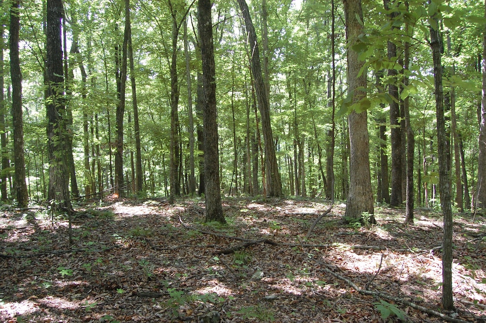 2008_0604Image0109