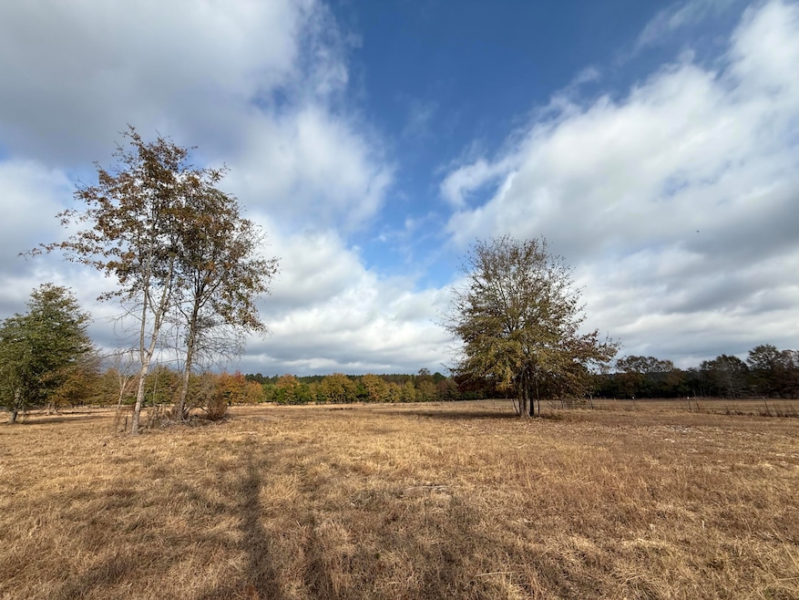 0000 S Carolina 39, Williston, SC 29853 - photo 1