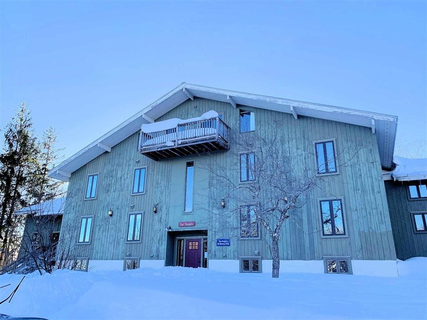 53 Birches Way unit B, E, Peru, VT 05152 - photo 1