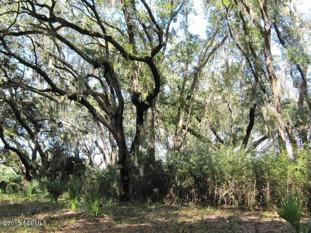 866 N Reeve Rd, Saint Helena Island, SC 29920 - photo 1