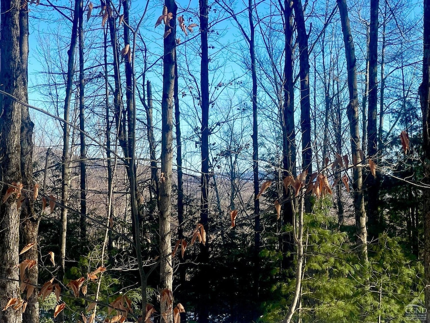 For Sale $99,000 • Co-Listing Agent