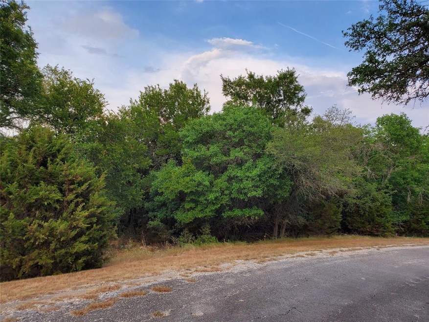 41065 Heartwood Cir, Whitney, TX 76692 - photo 1