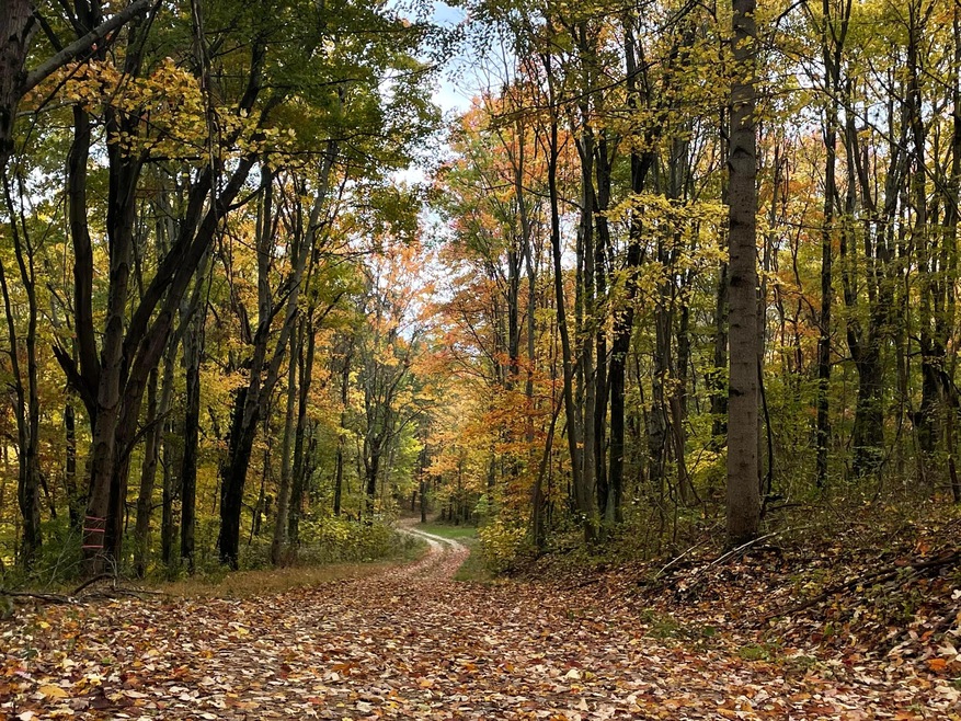 0 Revenge Rd SW unit 20 221045212, Lancaster, OH 43130 - photo 1