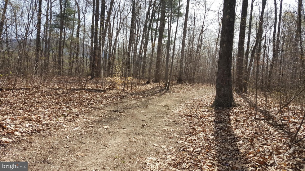 0 Rainbow Way unit 1001928590, Front Royal, VA 22630 - photo 1