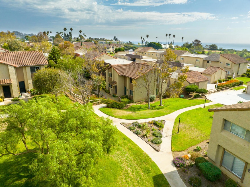 Aerial Greenbelt - 1025 Palmetto Way I