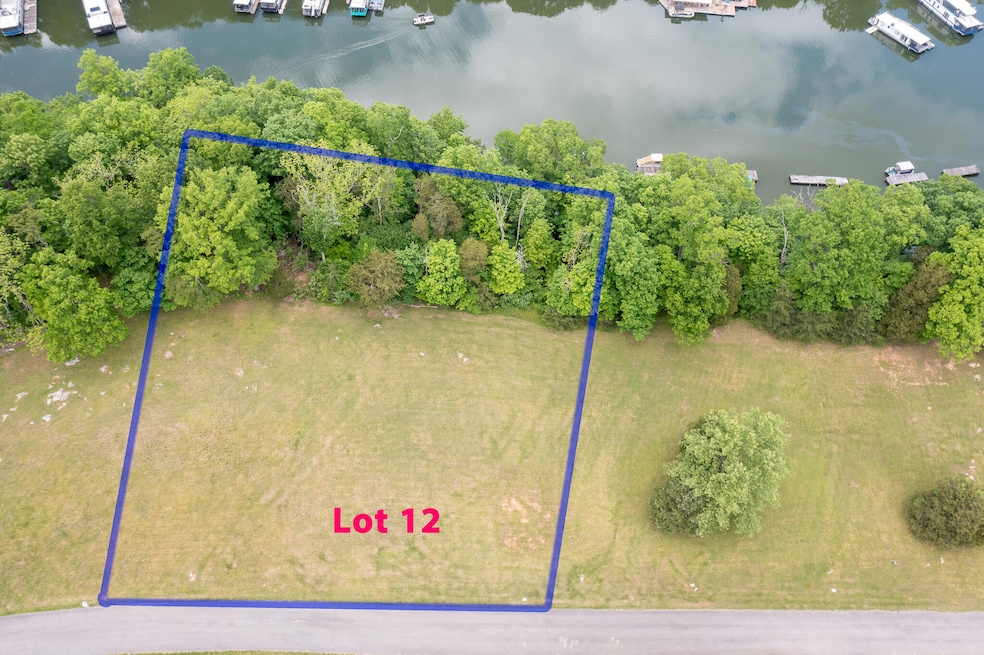 Lot 12