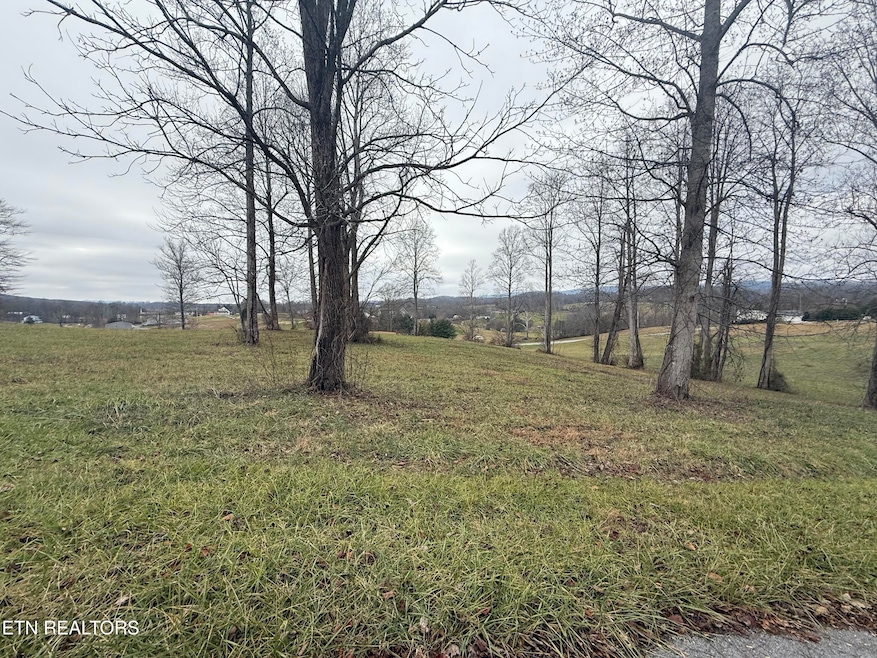 Lot #23 Oak Point Dr, Jonesville, VA 24263 - photo 1