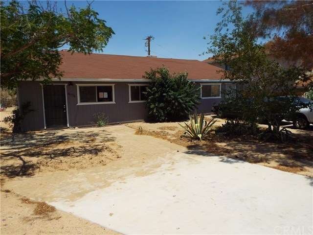 Papago before Tenant cut tree down