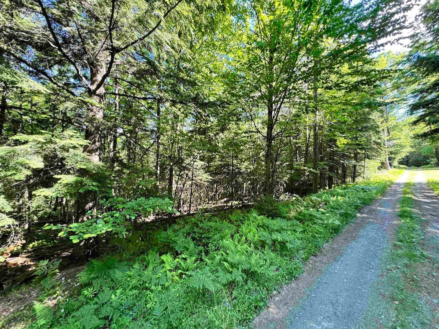 Lot 87 Langway Rd, Lyman, NH 03585 - photo 1