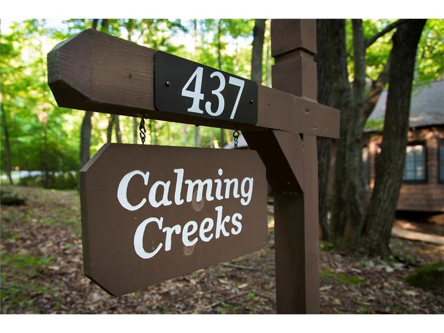 437 Bellflower Dr, Dawsonville, GA 30534 - photo 1