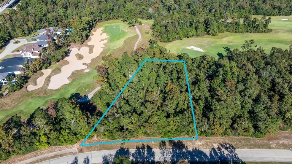 75 Mediterra Way, the Woodlands, TX 77389 - photo 1