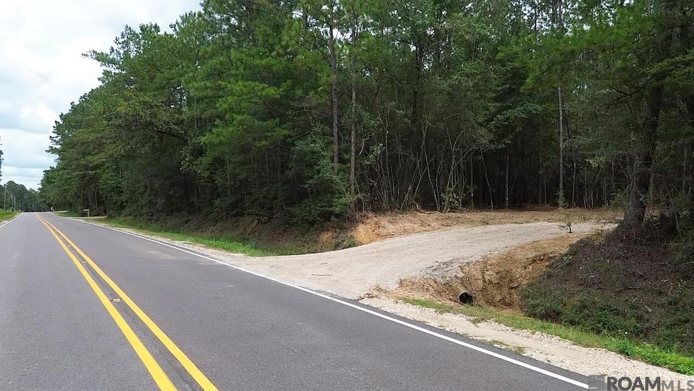 83194 Isabel Swamp Rd, Bush, LA 70431 - photo 1