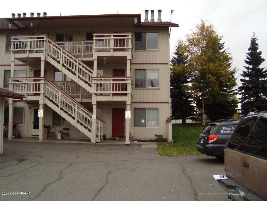 blg DSC09189