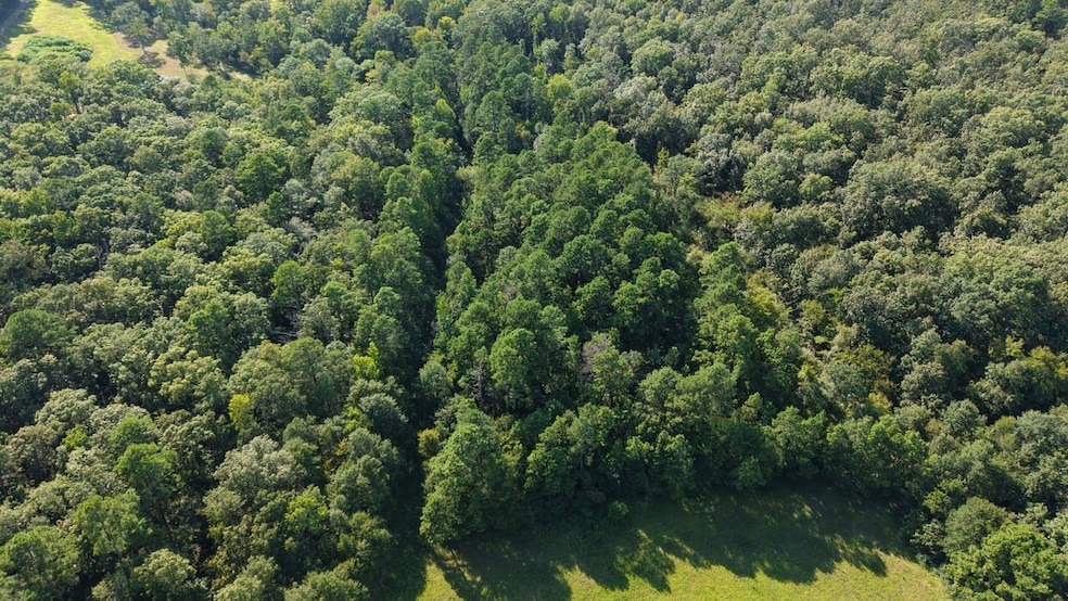 0 Waters, Mena, AR For Sale $110,000 - listed by Nick Pate