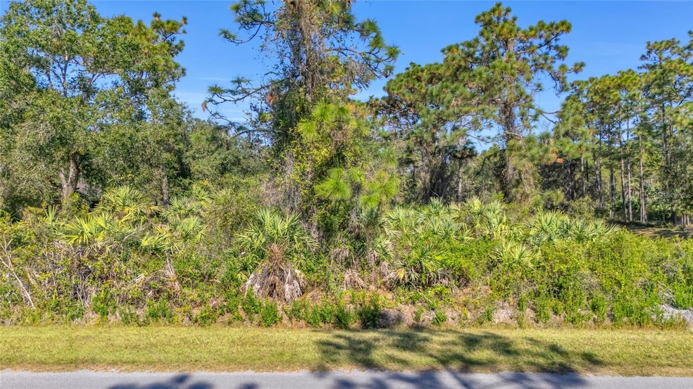 0 Quinlan St unit MFRO6362891, Orlando, FL 32833 - photo 1