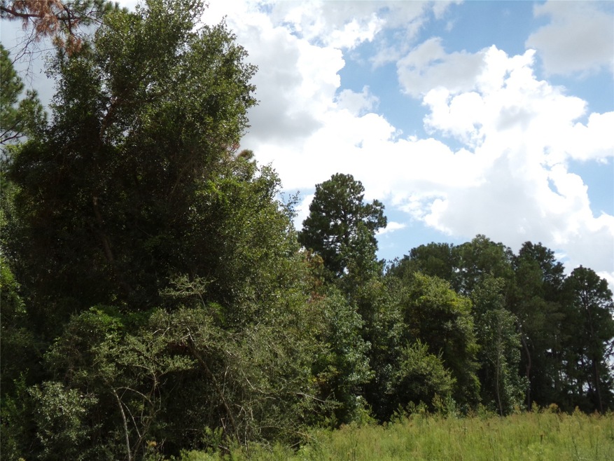 31807 Charter Ln, Waller, TX 77484 - photo 1