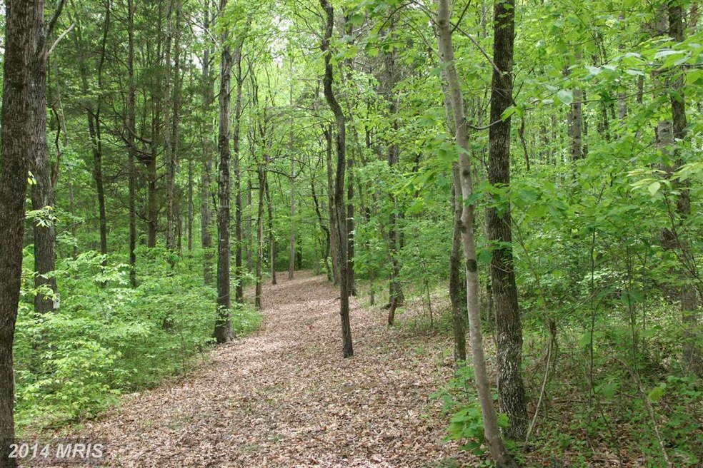 0 Terry's Run Rd unit 1002993710, Unionville, VA 22567 - photo 1