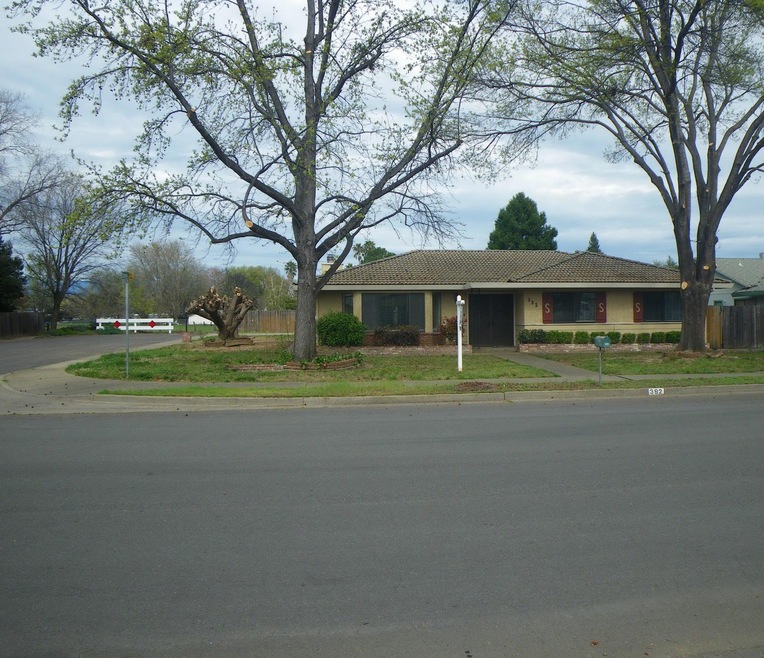 Front View