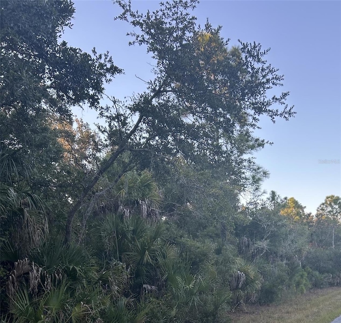 23391 Buckner Ave, Punta Gorda, FL 33980 - photo 1