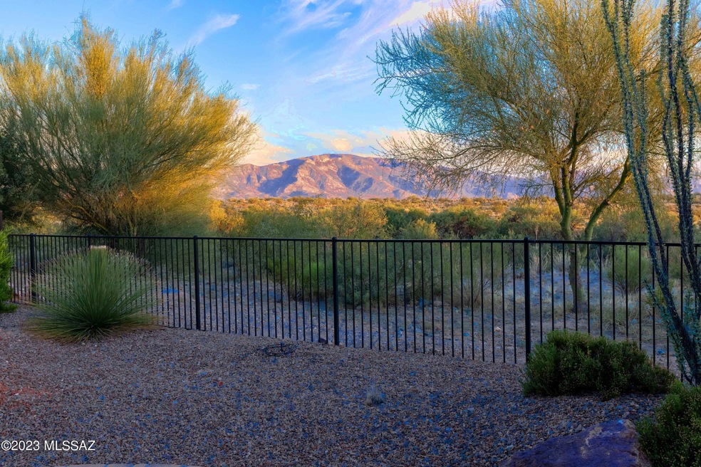 Backyard view