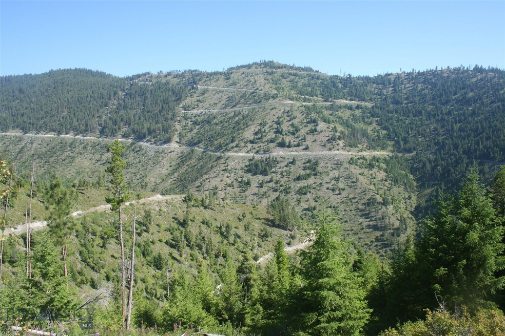 Looking north across property from south boundary.