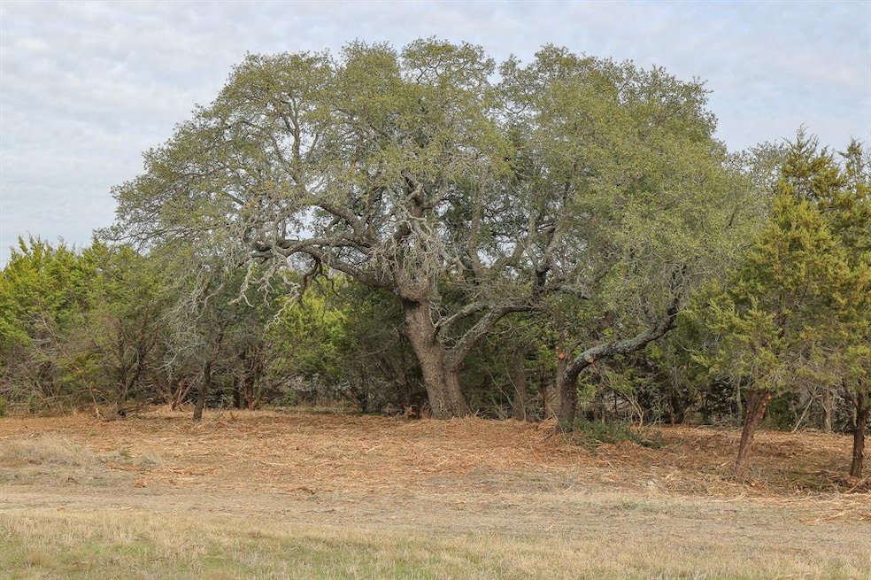 113 E Stagecoach Trail, Weatherford, TX 76085 - photo 1