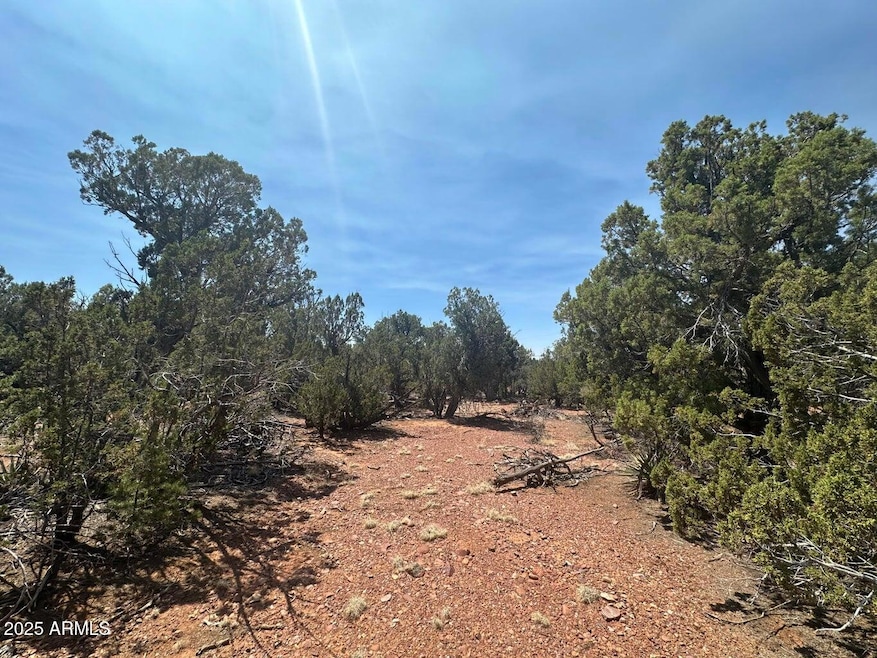 Lot #2 Power Line Rd unit S, Heber, AZ 85928 - photo 1