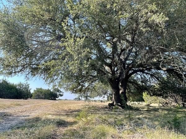4547 County Road 108, Burnet, TX 78611 - photo 1