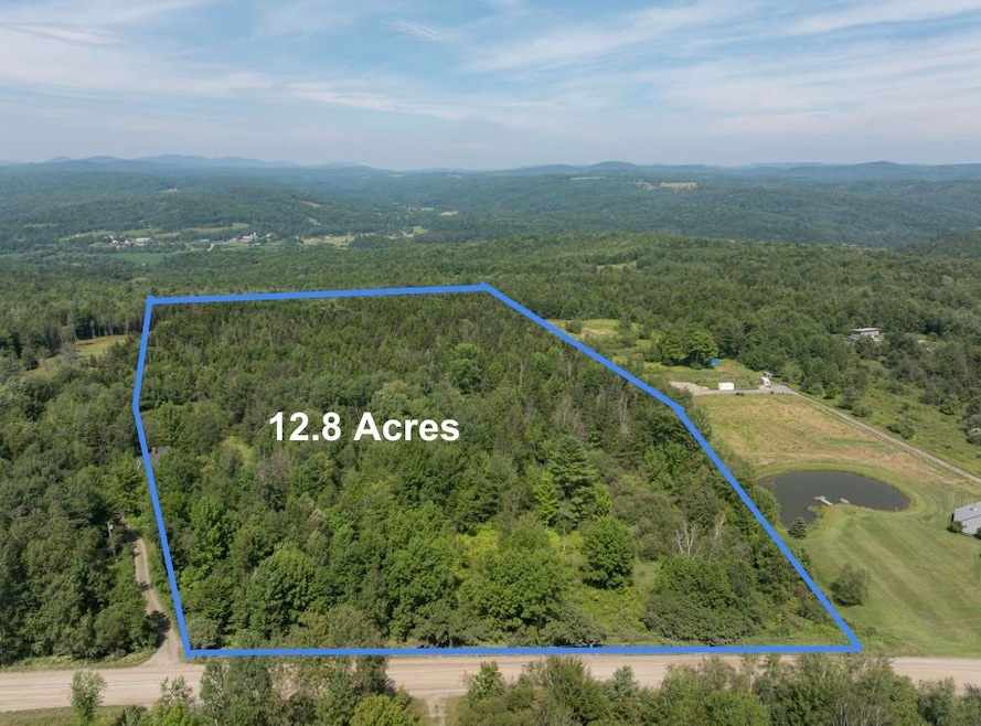 12.8 Acres along Elmore Pond Road