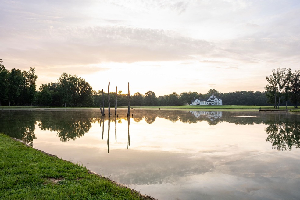 3170 Seward Dr, Hickory Withe, TN 38028 MLS 10153644