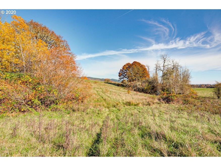 0 Pittman Rd unit 20213598, Sheridan, OR 97378 - photo 1