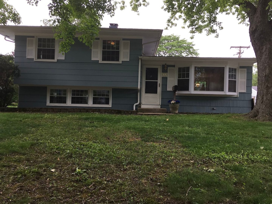 133 Mora Rd, Carpentersville, IL 60110 - photo 1