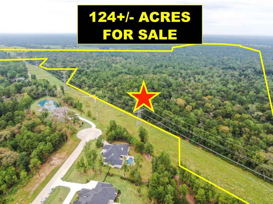 TBD Wild Pecan Dr, Tomball, TX 77375 - photo 1