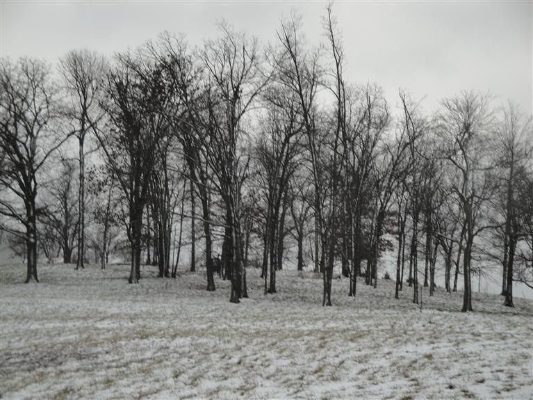 0 Regency Ln unit 11302913, Union Chapel Township, MO 65714 - photo 1