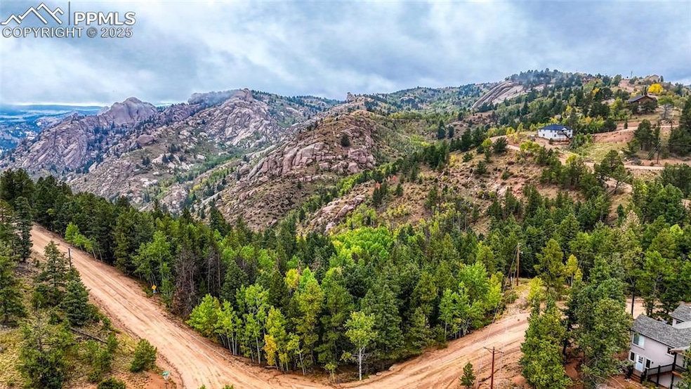 599 Dandy Jim Dr, Cripple Creek, CO 80813 - photo 1