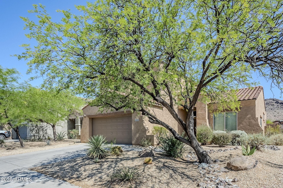 3-web-or-mls-Bajada-3