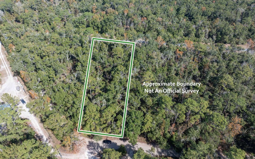 TBD Cr 349, Obrien, FL 32071 - photo 1