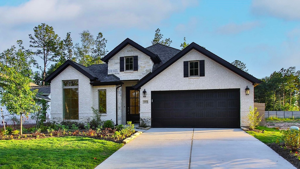 17910 Calico Hills Dr, Conroe, TX 77302 - photo 1