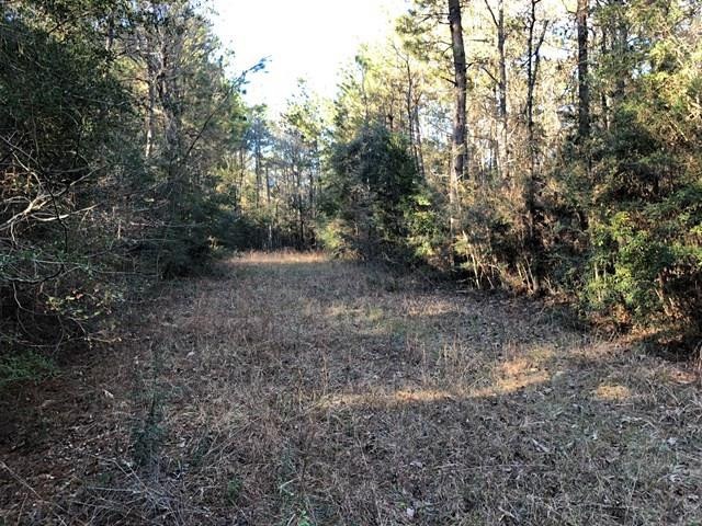 0000 Osyka Progress Rd, Magnolia, MS 39652 - photo 1