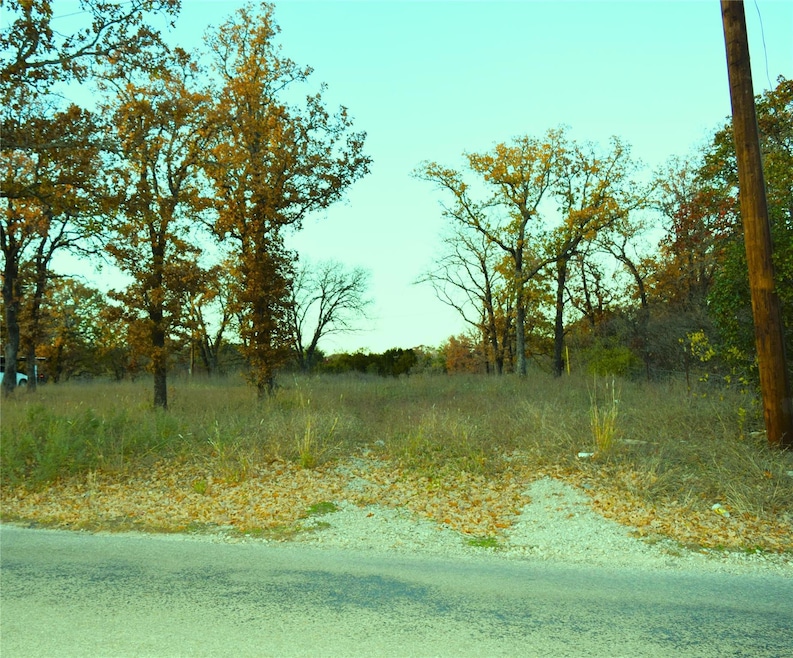 320 Johnson Bend Rd, Weatherford, TX 76088 - photo 1