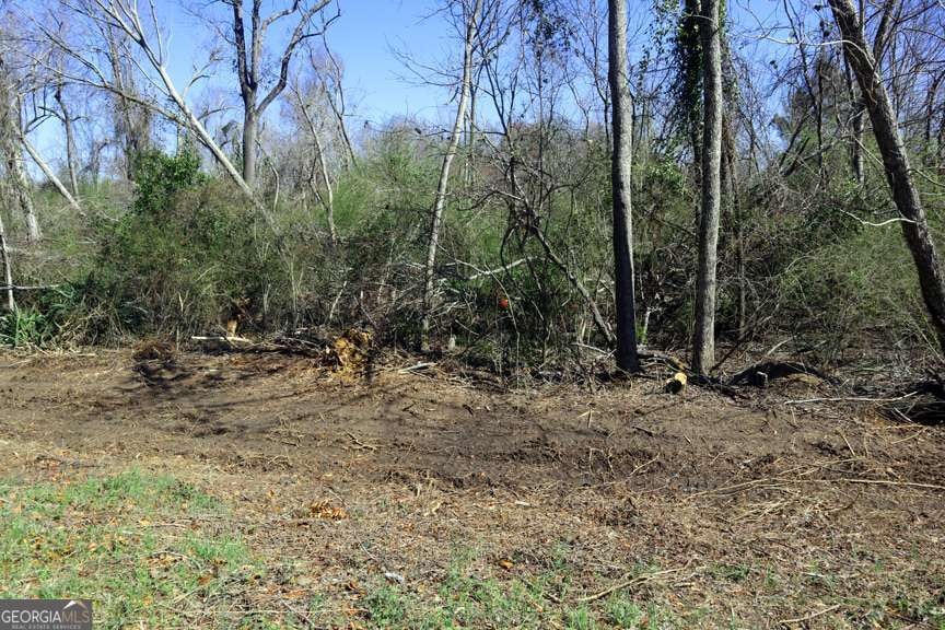 Lt.1 Harrison-Davisboro Rd unit 1, Davisboro, GA 31018 - photo 1