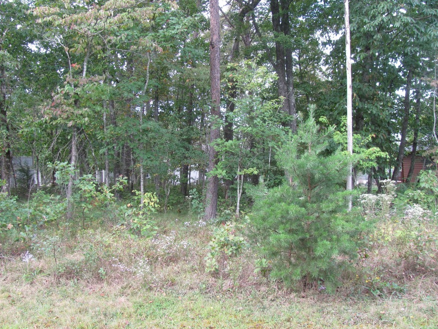 131 Trentwood Dr, Crossville, TN 38558 - photo 1