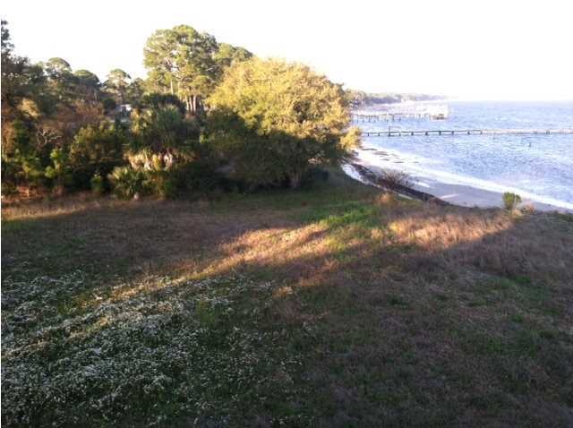 Main View