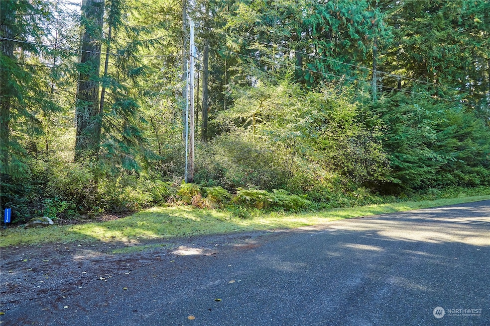 11114 106th St, Anderson Island, WA 98303 - photo 1