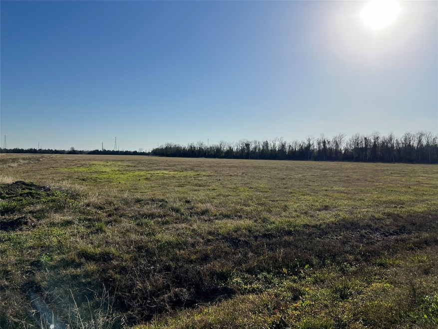 Lot 17 Rymal Ranch Rd, Algoa, TX 77511 - photo 1