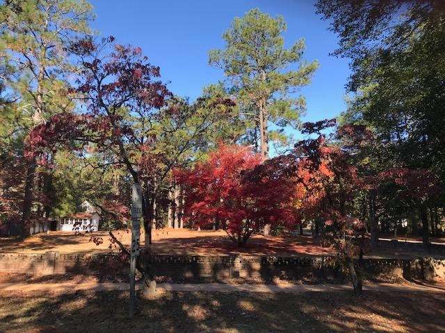 15 Fields Rd, Pinehurst, NC 28374 - photo 1
