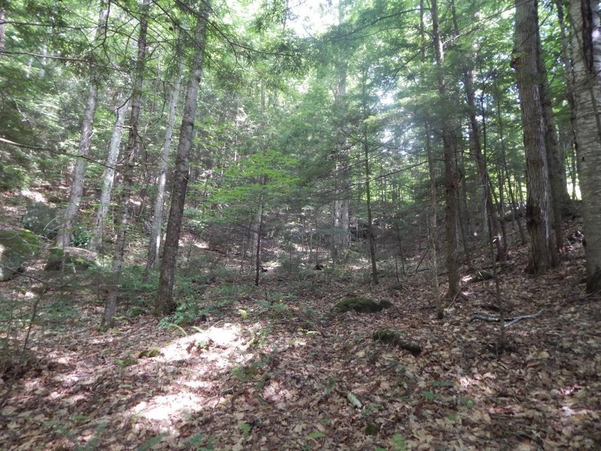 18-8 Currier Hill, Wentworth, NH 03282 - photo 1