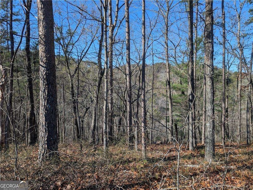 1400 Foxhound Trail NE, Ranger, GA 30734 - photo 1