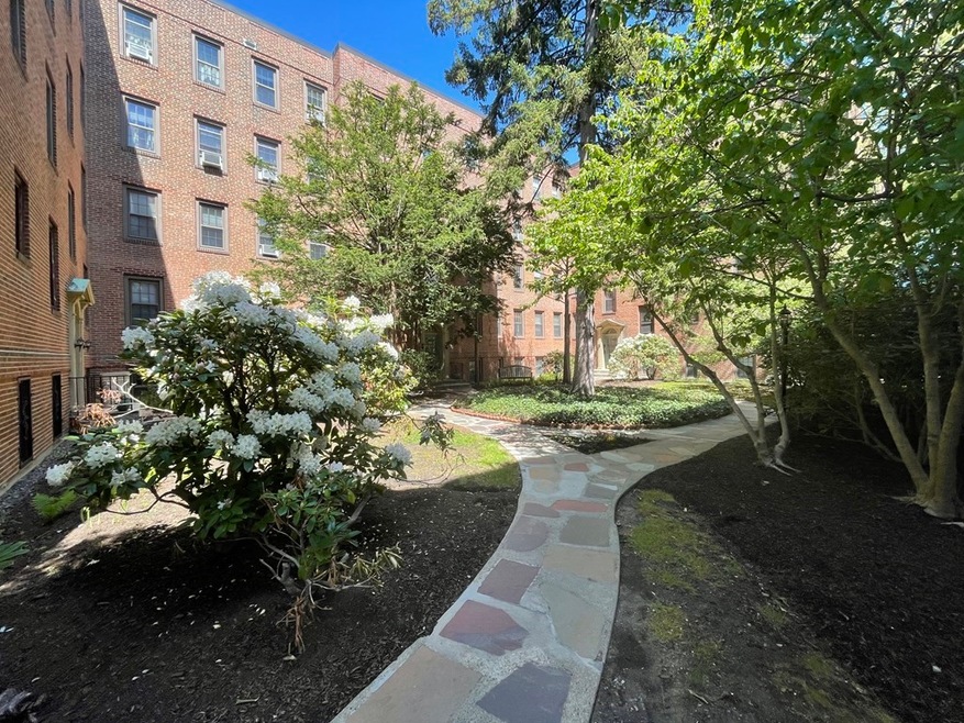 14 Ware St unit 41, Cambridge, MA 02138 - photo 1