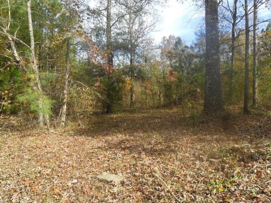 0 Bellview Rd, Rockmart, GA 30153 - photo 1